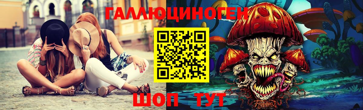 Псилоцибиновые грибы Psilocybe Луховицы